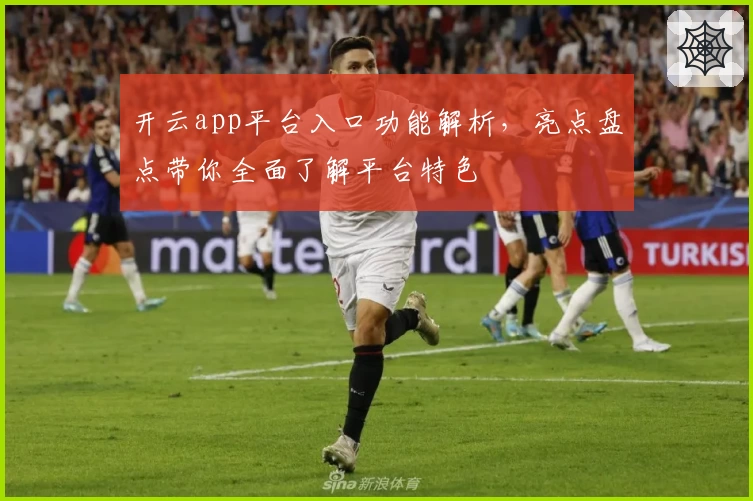 开云app平台入口功能解析，亮点盘点带你全面了解平台特色