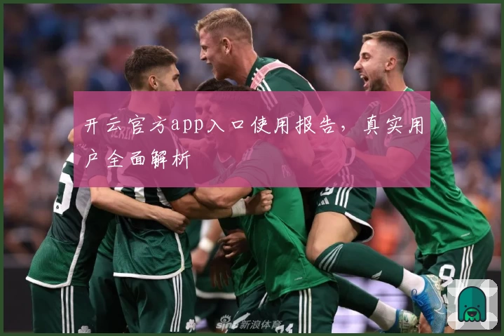 开云官方app入口使用报告，真实用户全面解析