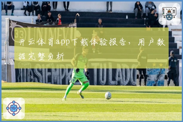 开云体育app下载体验报告，用户数据完整分析